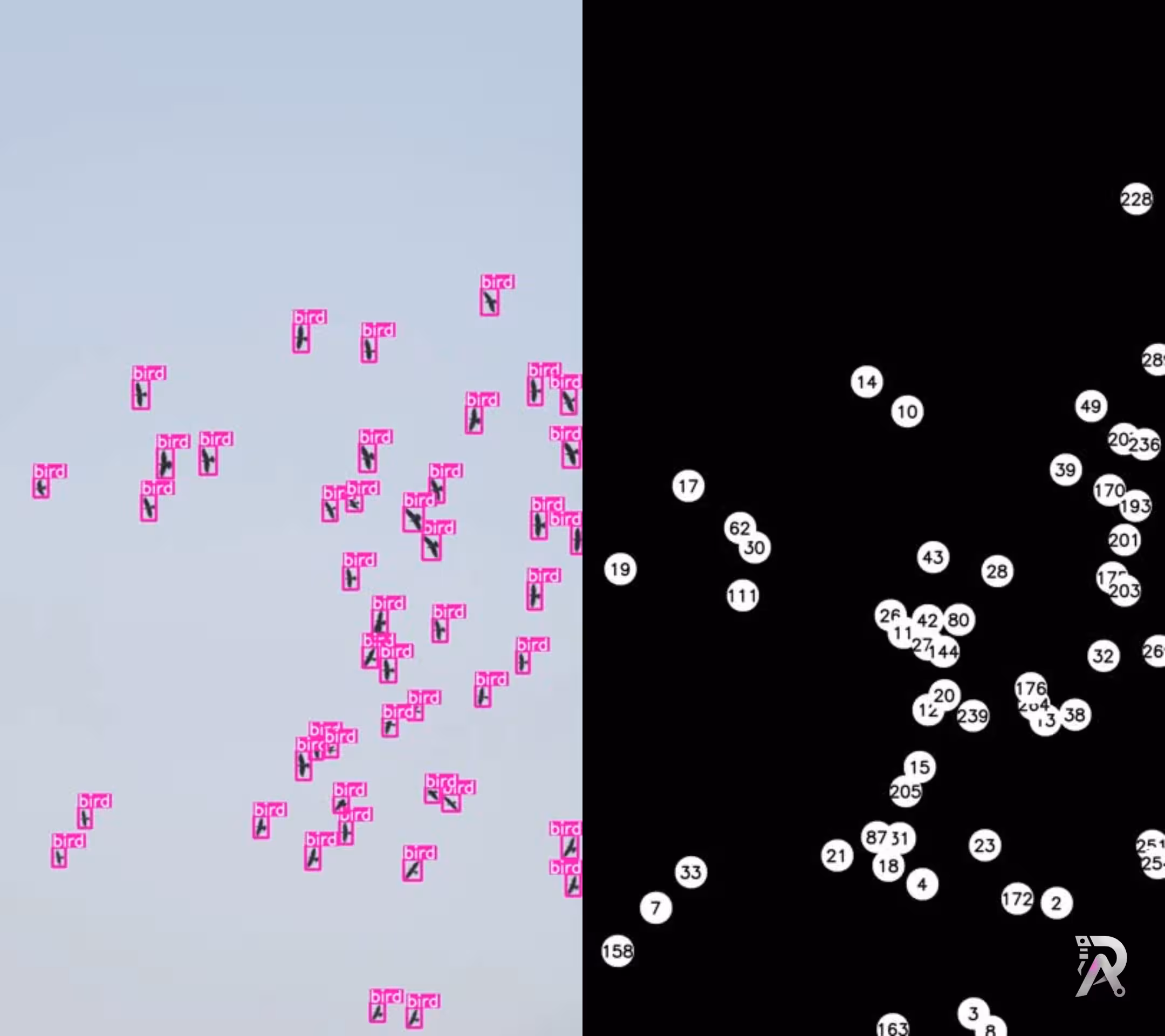 bird detection and tracking with using YOLO11